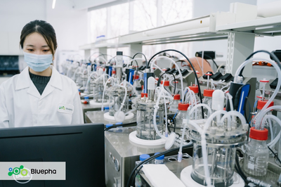 【首發(fā)】藍晶微生物完成累計15億人民幣B系列融資,加速落地「T型」發(fā)展戰(zhàn)略