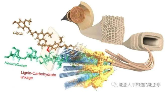 纖維素輕量化輪胎 引領(lǐng)東岳輪胎綠色新發(fā)展