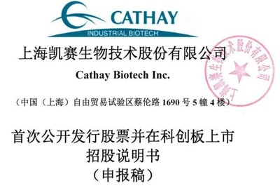 凱賽生物IPO:存在安全生產(chǎn)風(fēng)險,曾深陷專利糾紛,票據(jù)流轉(zhuǎn)、轉(zhuǎn)貸等違規(guī)不斷