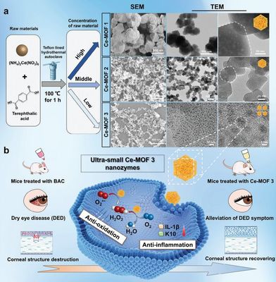 干眼治療新路徑!復(fù)旦團(tuán)隊(duì)研發(fā)納米酶"刷"掉過(guò)量眼表活性氧