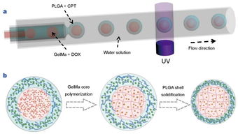 生物材料的多樣性和dds設(shè)計 藥物傳遞系統(tǒng) ?？瘓D文詳解