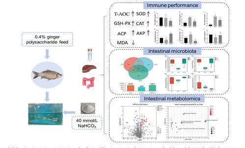 中國(guó)水產(chǎn)科學(xué)研究院在鹽堿水域養(yǎng)殖與生物基材料技術(shù)研發(fā)領(lǐng)域取得新進(jìn)展