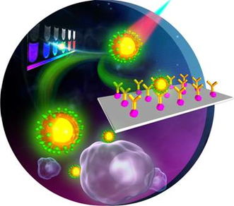 福建物構(gòu)所稀土上轉(zhuǎn)換熒光生物標(biāo)記材料研究取得新進(jìn)展
