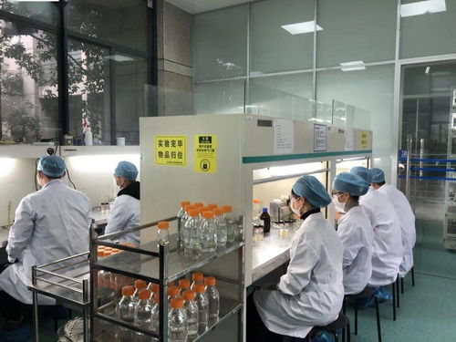 生物選考沖刺提分秘籍 高中生物實(shí)驗(yàn)訓(xùn)練營(yíng)寒假開啟，助力未來生物基材料技術(shù)研發(fā)